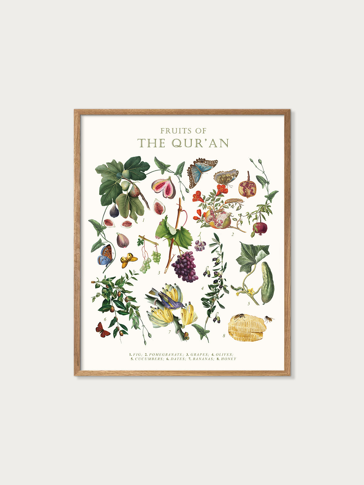 Fruits of the Quran Botanical Art Print
