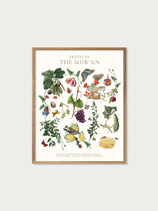 Fruits of the Quran Botanical Art Print